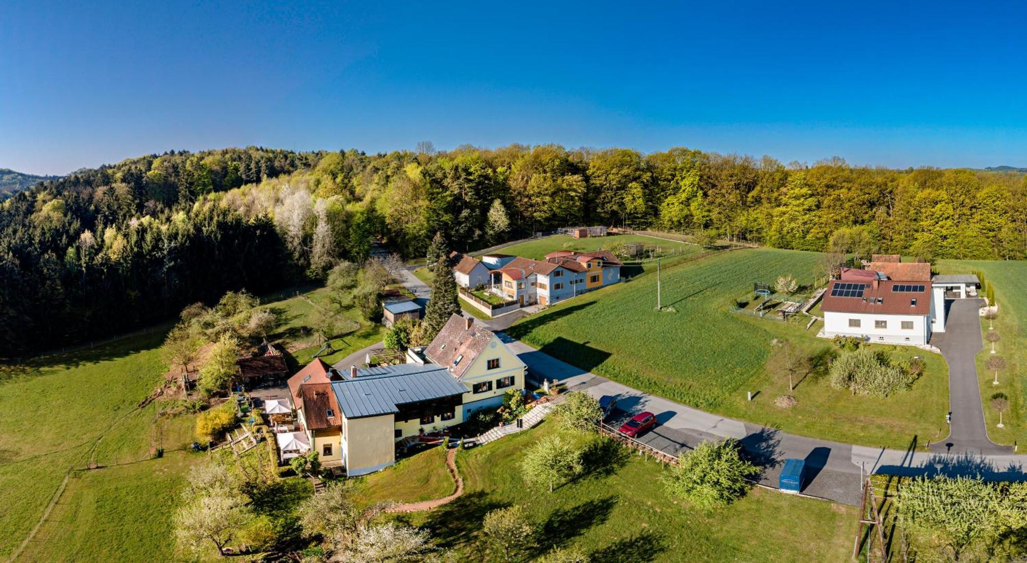 Ferienappartments Landhaus Fuehldichwohl Fehring Экстерьер фото